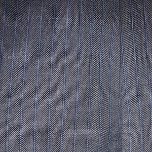 Blue-striped gray pants